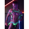 Breedwell Harnais Reflector Neon Vert